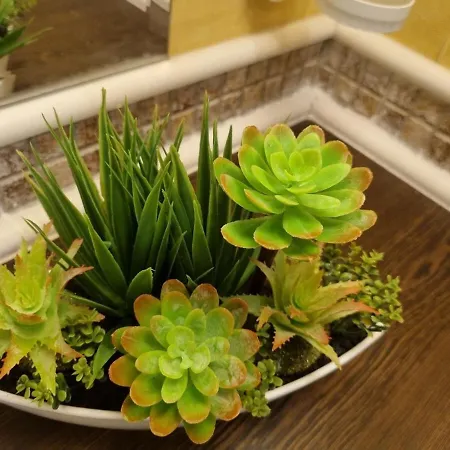 Royal Sea B Apartment *