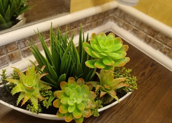 Royal Sea B Апартамент *